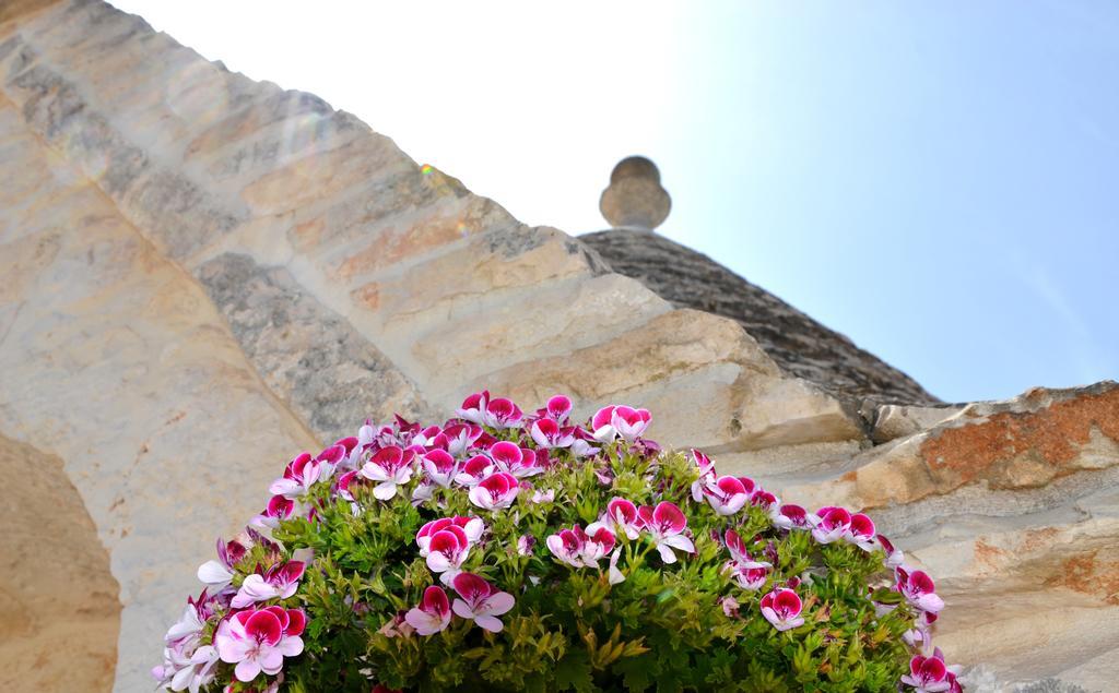 Villa Il Trullo Del Mirto Selva Di Fasano Exterior foto